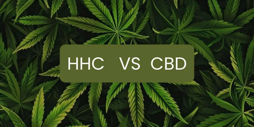 hhc diferencias cbd