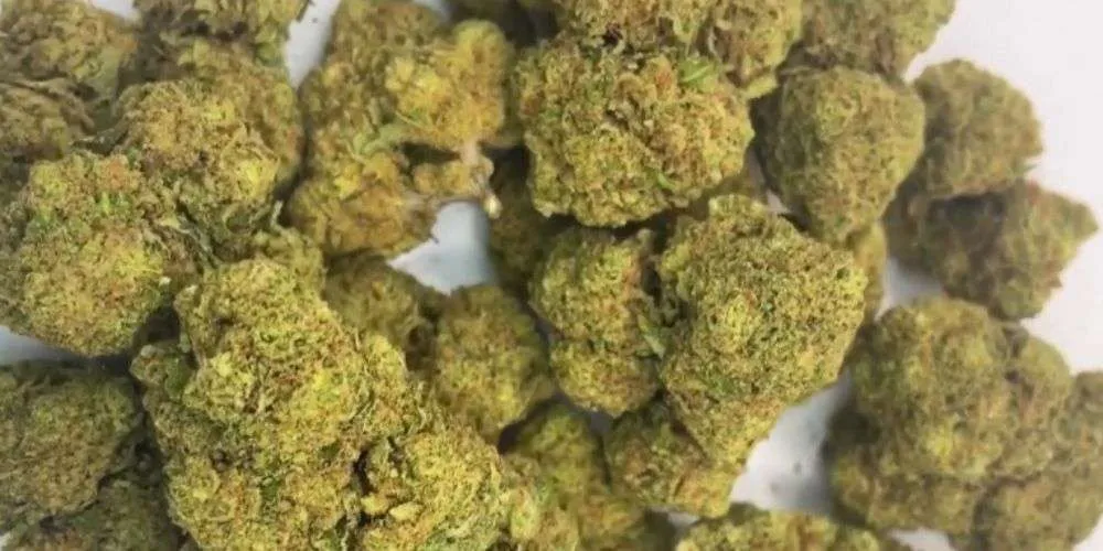 mejores cogollos cbd