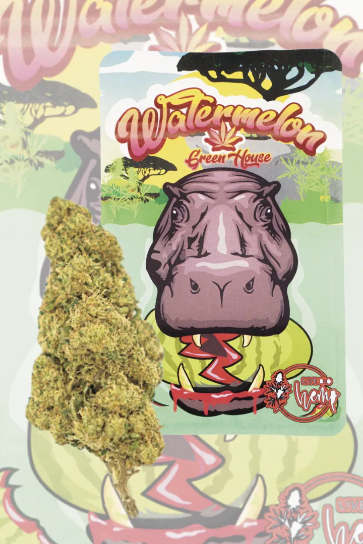 Watermelon GH PREMIUM