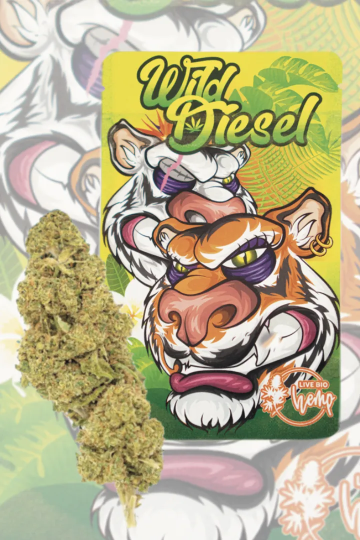 Wild Diesel GH PREMIUM