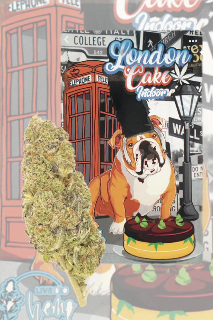 Mini London Cake INDOOR PREMIUM