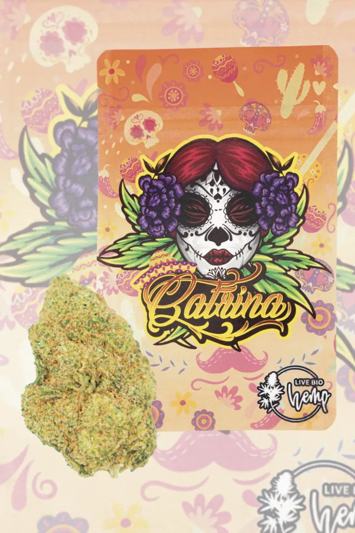 Catrina INDOOR PREMIUM