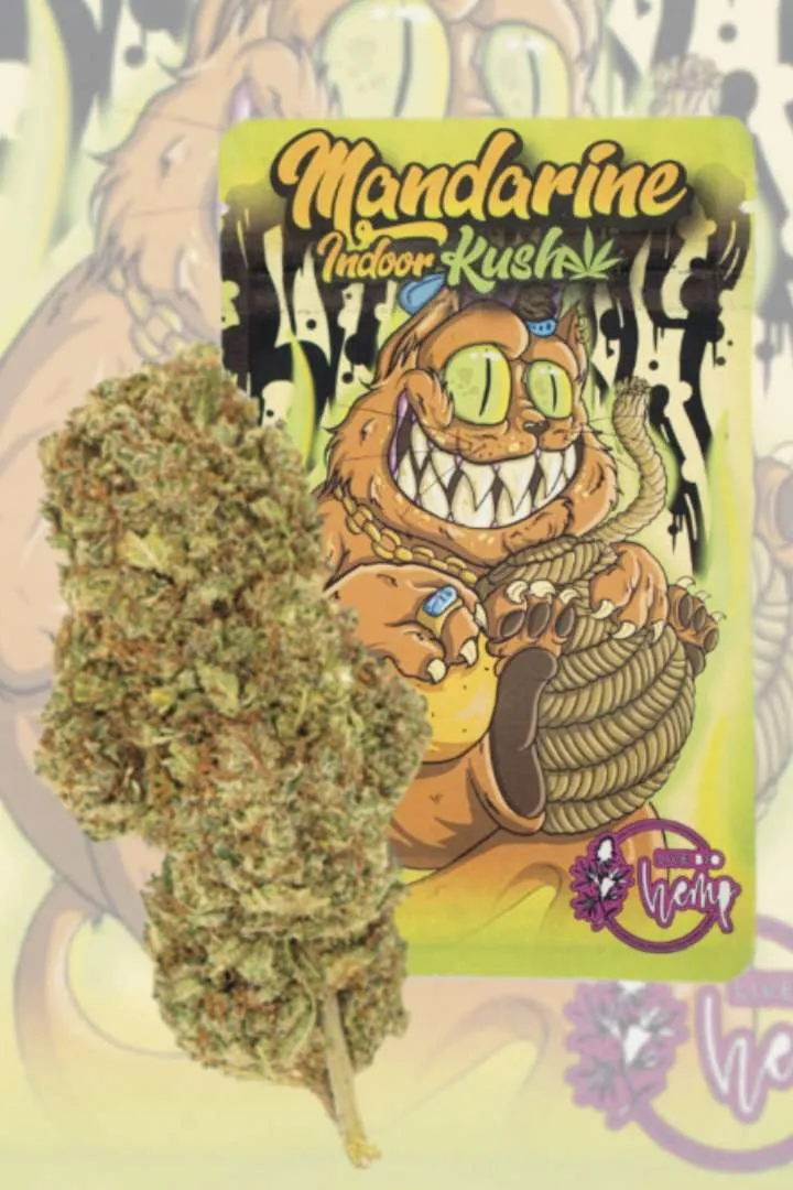 Mandarine Kush INDOOR PREMIUM