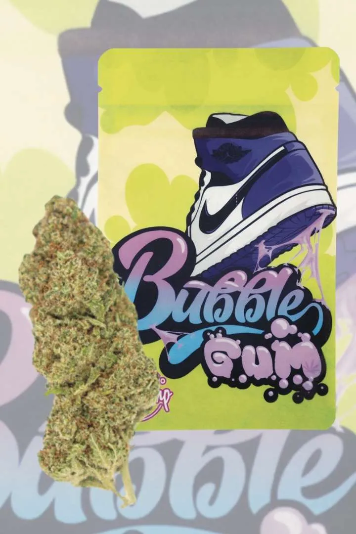 Bubble Gum INDOOR PREMIUM